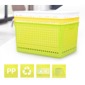 Large size eco-friendly multipurpose storage plastic fruit basket for wholesale